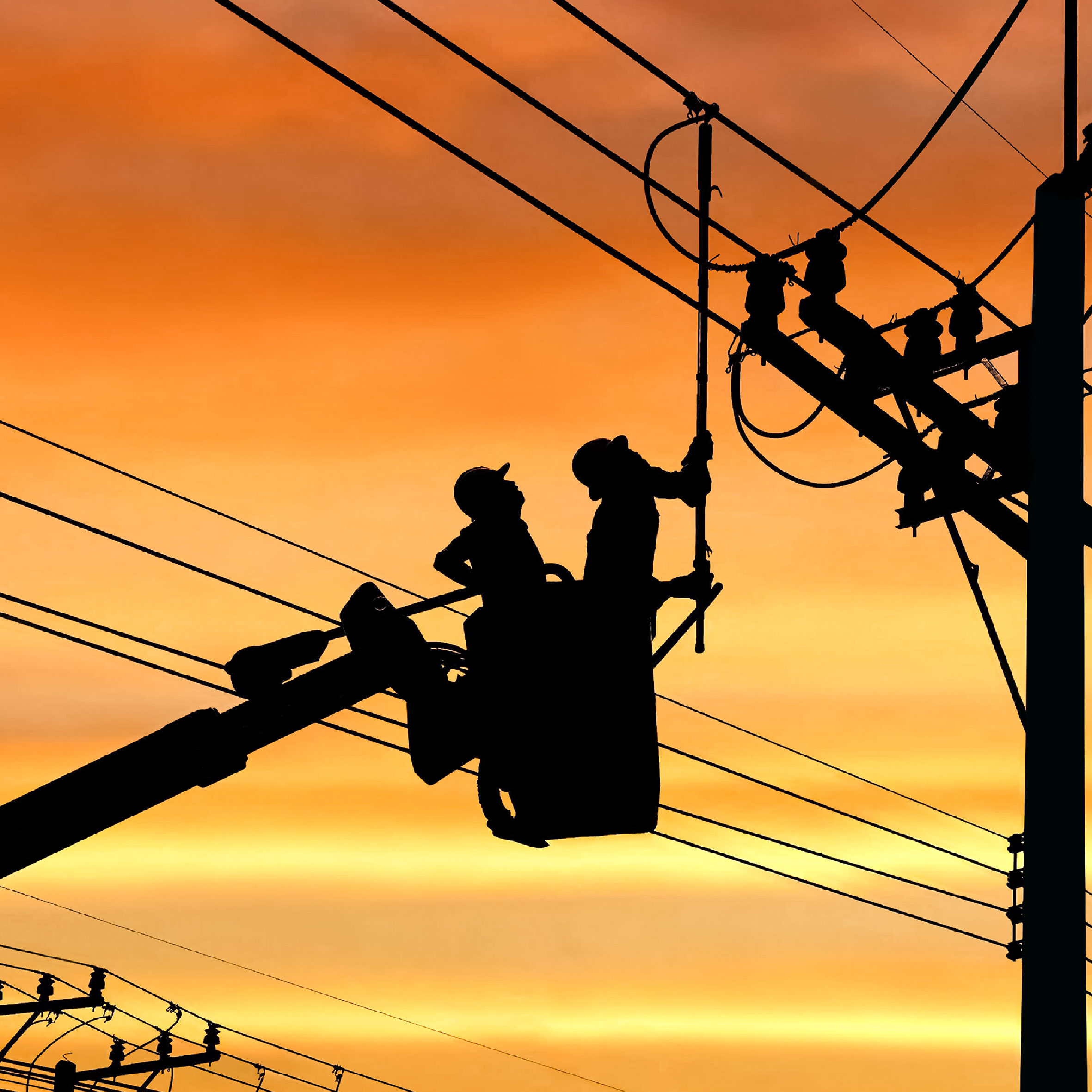 Lineas Energizadas